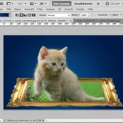 Ramki w Photoshopie: Proste i kreatywne sposoby na obramowanie zdjęć