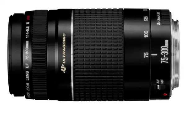 Zdjęcie Canon 75-300mm: Do czego służy? Sprawdź możliwości!
