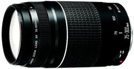 Canon 75-300mm: Do czego służy? Sprawdź możliwości!